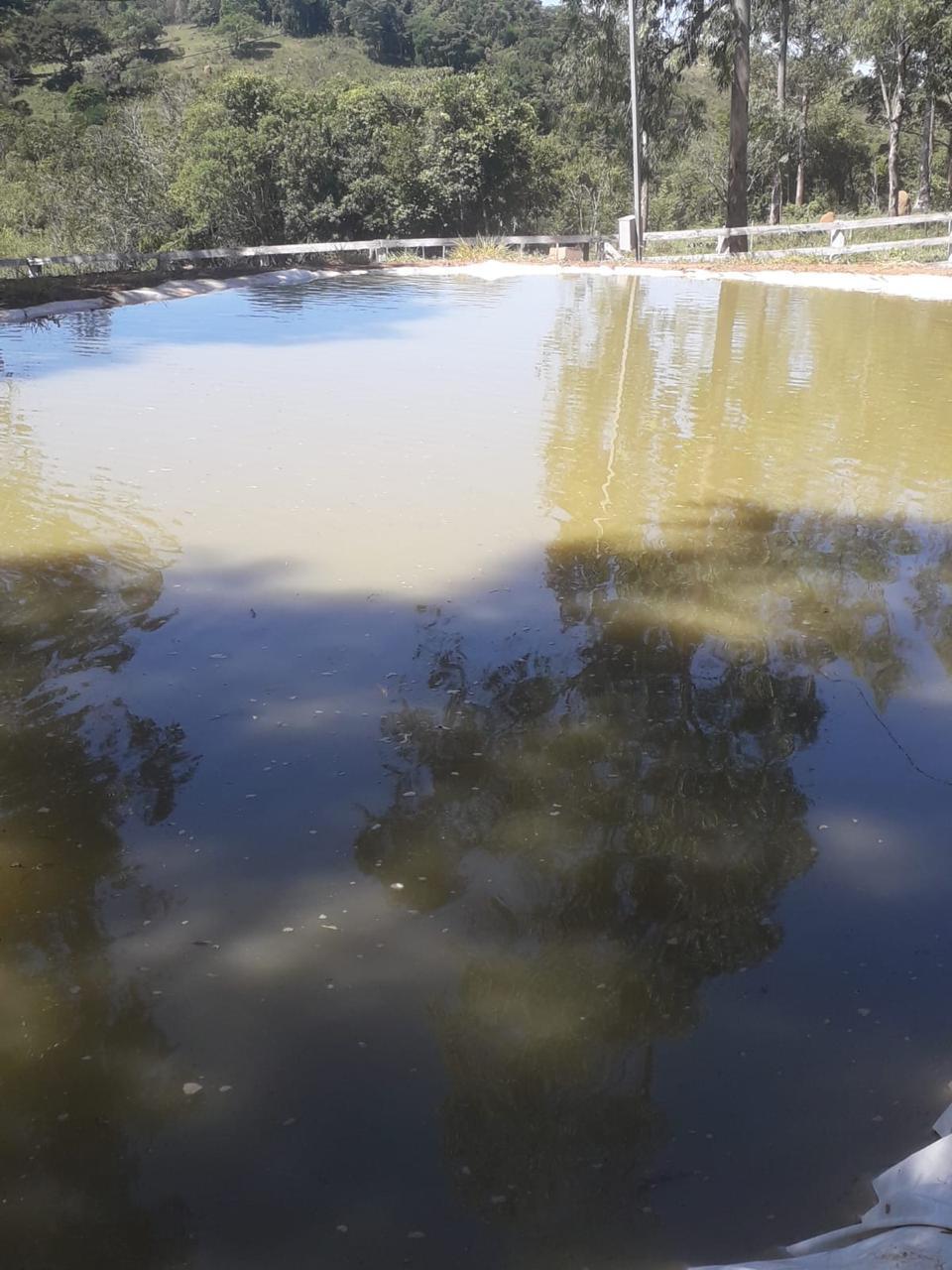 Imagem Fazenda à Venda, 51 HAem zona rural - Desterro de Entre Rios Imagem Fazenda à Venda, 51 HAem zona rural - Desterro de Entre Rios