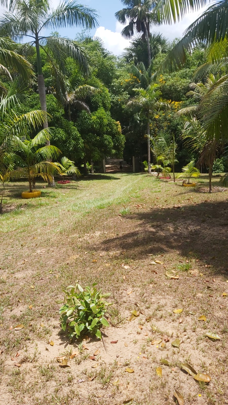 Imagem Chácara com 2 Quartos à Venda, 47 m²em Zona Rural - Santa Maria do Pará Imagem Chácara com 2 Quartos à Venda, 47 m²em Zona Rural - Santa Maria do Pará