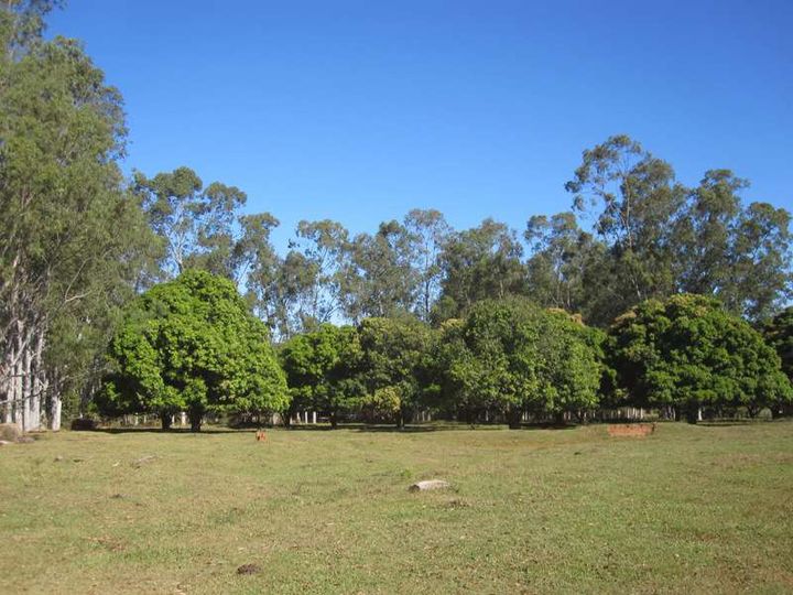 Imagem Fazenda à Venda, 1.864 m² em área Rural De Três Lagoas - Três Lagoas Imagem Fazenda à Venda, 1.864 m² em área Rural De Três Lagoas - Três Lagoas