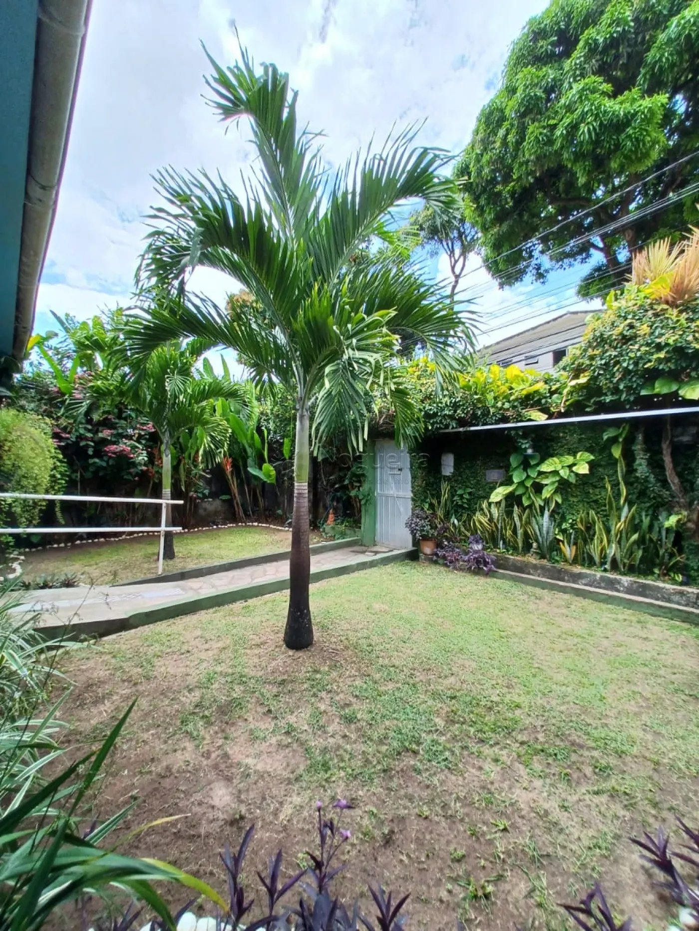 Imagem Casa com 4 Quartos à Venda, 232 m²em Iputinga - Recife