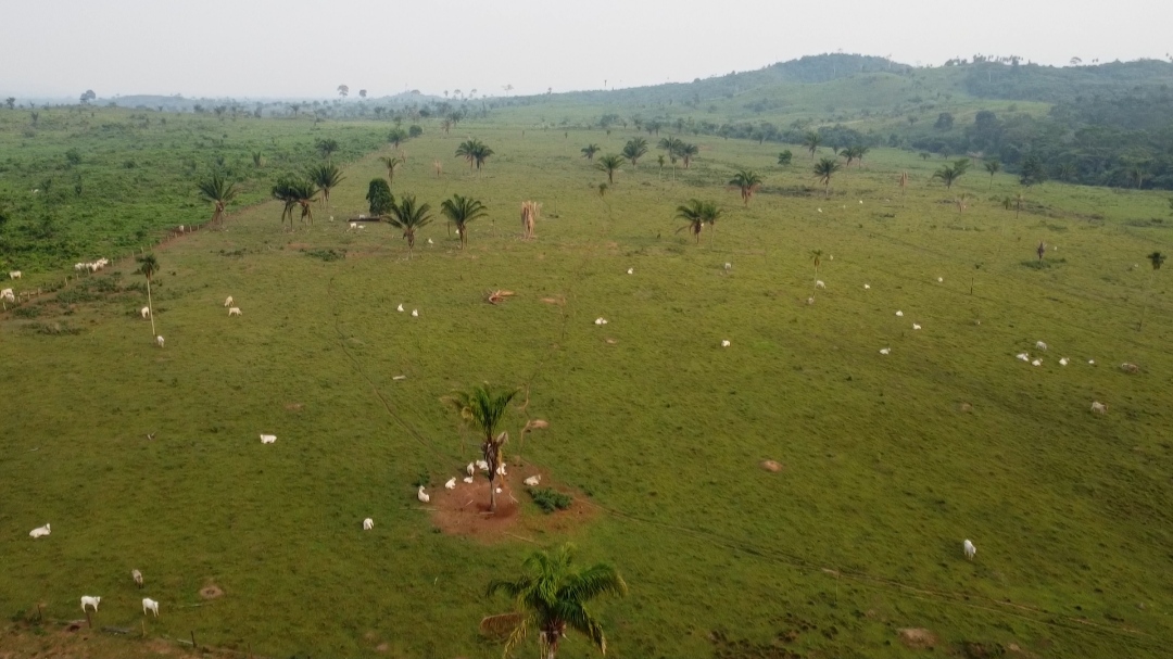 Imagem Fazenda à Venda, 1 m²em Centro - São Félix do Xingu Imagem Fazenda à Venda, 1 m²em Centro - São Félix do Xingu