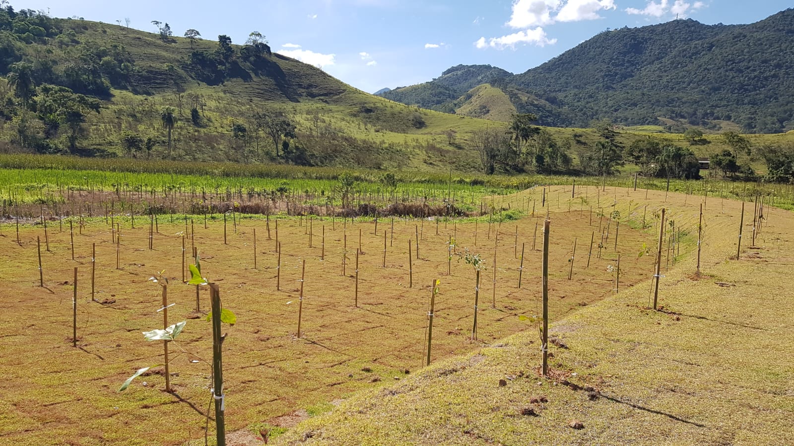 Imagem Terreno à Venda ou Temporada, 450 m²em São Francisco Xavier - São José dos Campos