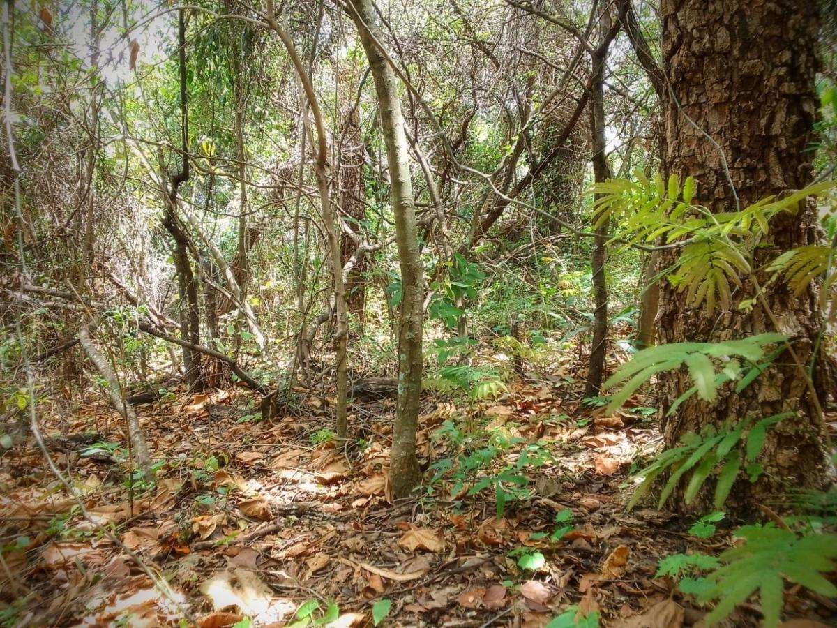 Imagem Terreno à Venda, 2.000 m² em Recanto da Aldeia - Brumadinho Imagem Terreno à Venda, 2.000 m² em Recanto da Aldeia - Brumadinho