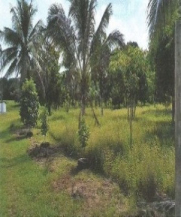 Imagem Fazenda à Venda, 66.246 m² em Zona Rural - Vigia