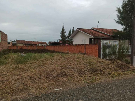 Imagem Terreno à Venda, 348 m² em São Defende - Criciúma Imagem Terreno à Venda, 348 m² em São Defende - Criciúma