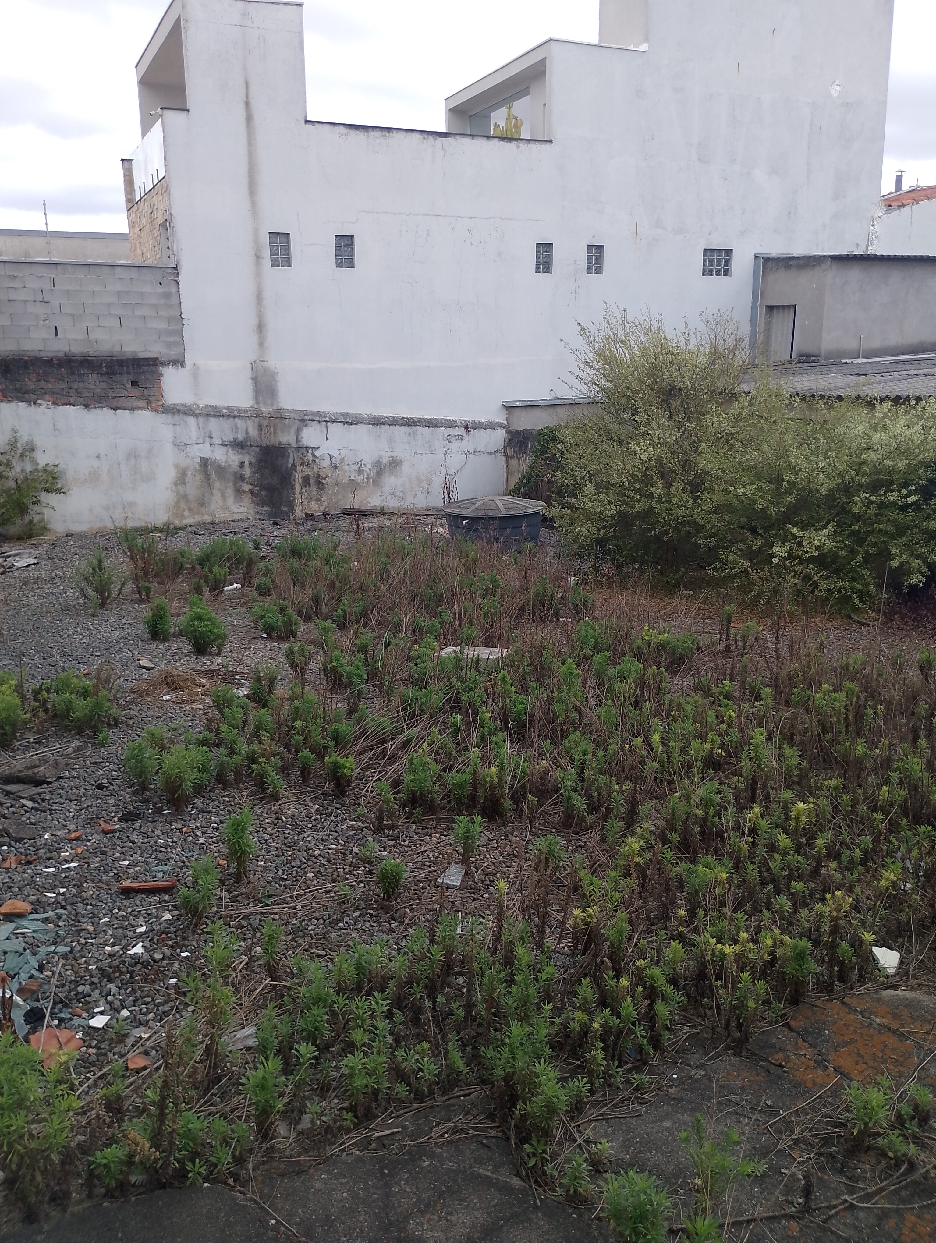 Imagem Casa com 3 Quartos à Venda, 210 m² em Vila Lavínia - Mogi das Cruzes