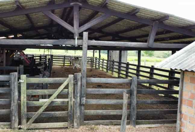 Imagem Fazenda à Venda, 44 m²em Área Rural de Marabá - Marabá