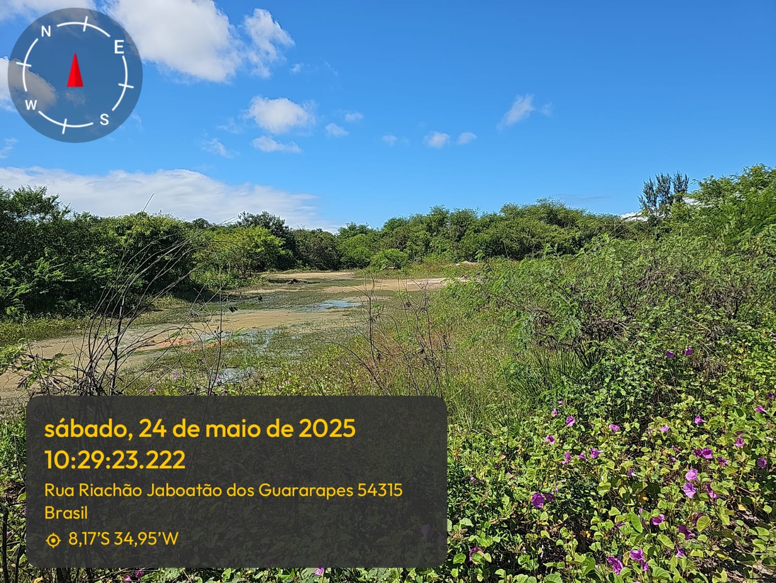 Imagem Terreno à Venda, 7 hectare em Prazeres - Jaboatão dos Guararapes Imagem Terreno à Venda, 7 hectare em Prazeres - Jaboatão dos Guararapes