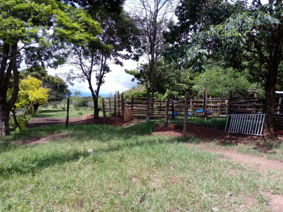 Imagem Chácara com 2 Quartos à Venda, 25.000 m² em Jardim Palmeiras - Caçapava