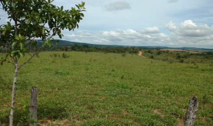 Imagem Fazenda à Venda, 8 Alq GOem Zona Rural - Silvânia