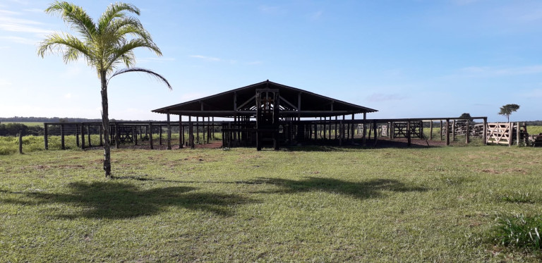 Imagem Fazenda à Venda, 455 HA em zona Rural - Santarém Novo Imagem Fazenda à Venda, 455 HA em zona Rural - Santarém Novo