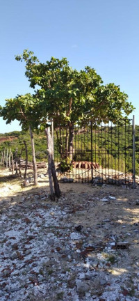 Imagem Terreno à Venda, 5.658 m²em Pajuçara - Natal