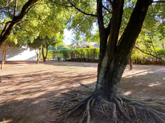 Imagem Chácara à Venda, 230 m² em Chácaras Cardoso - Bauru