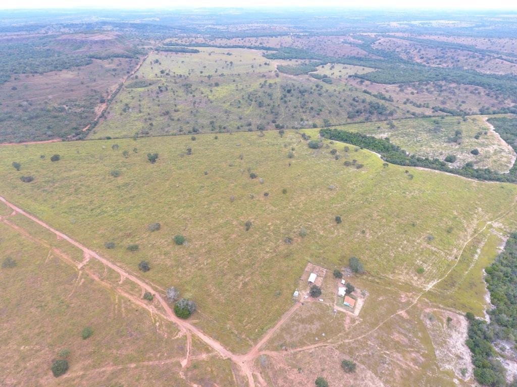 Imagem Fazenda à Venda, 80 Alq GOem Centro - Barra do Garças Imagem Fazenda à Venda, 80 Alq GOem Centro - Barra do Garças