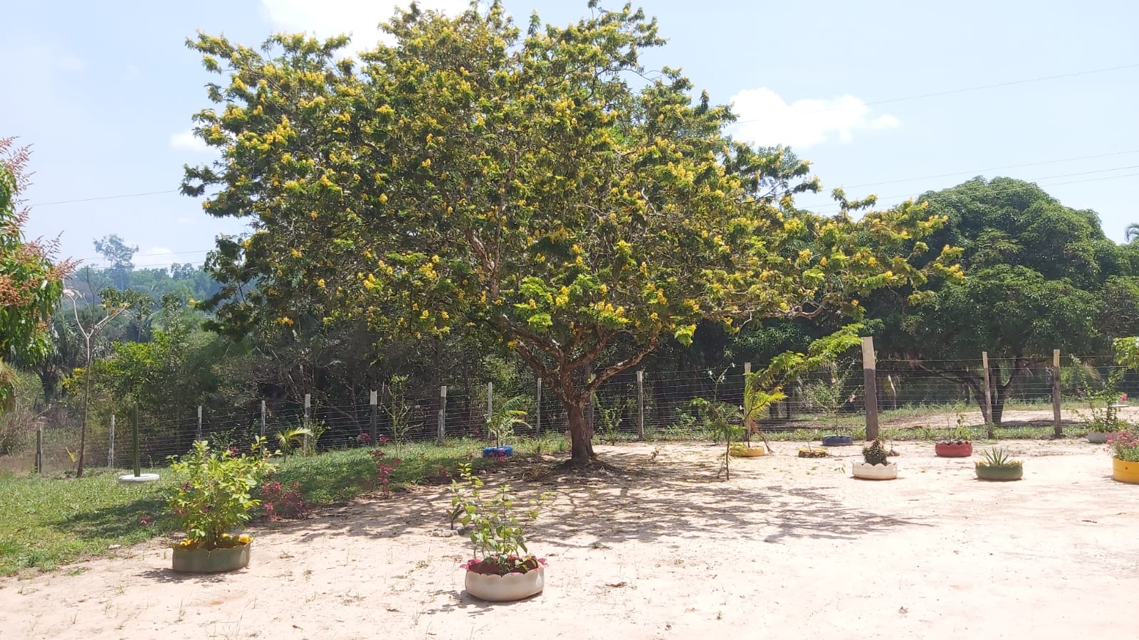 Imagem Chácara com 2 Quartos à Venda, 47 m²em Zona Rural - Santa Maria do Pará Imagem Chácara com 2 Quartos à Venda, 47 m²em Zona Rural - Santa Maria do Pará