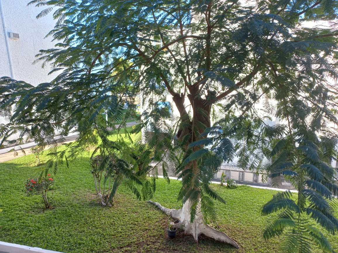 Imagem Apartamento com 2 Quartos à Venda, 91 m²em Parque Tamaris - Iguaba Grande
