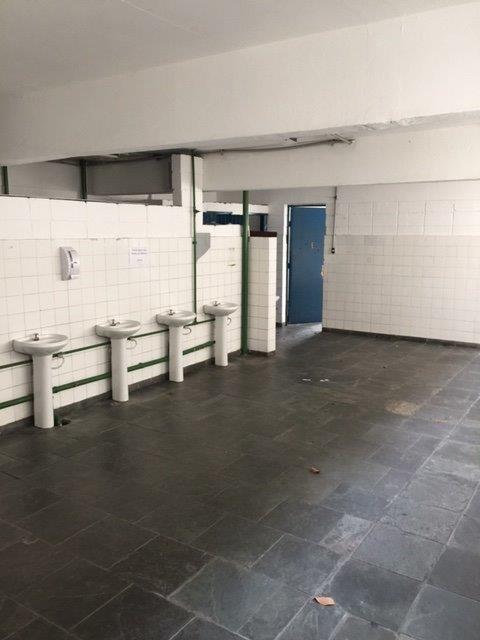 Imagem Galpão para Alugar, 3.247 m² em Vila Ribeiro de Barros - São Paulo