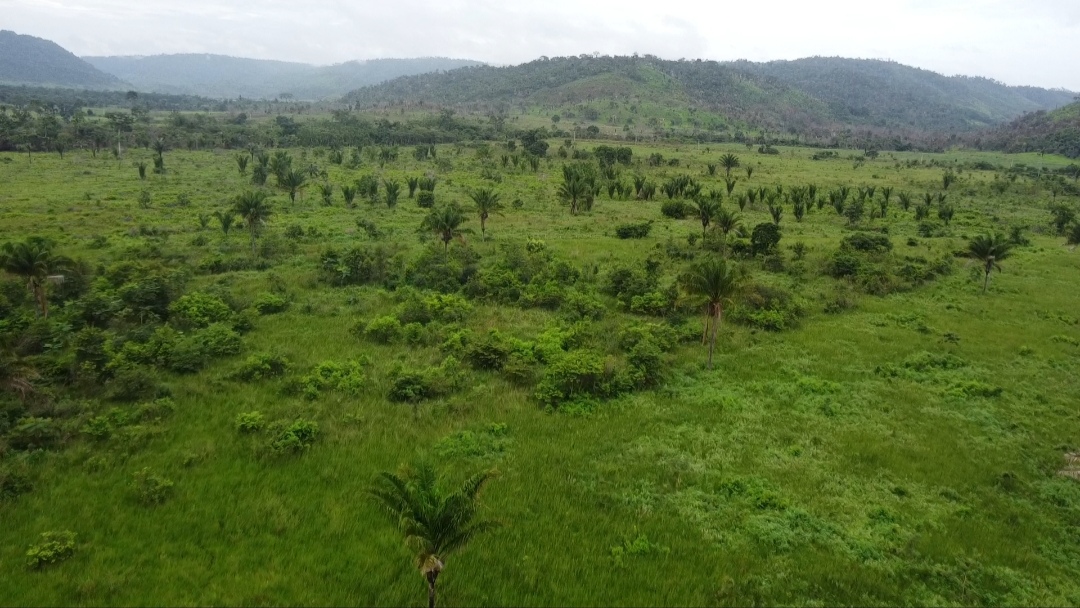 Imagem Fazenda à Venda, 90 m²em Centro - São Félix do Xingu Imagem Fazenda à Venda, 90 m²em Centro - São Félix do Xingu