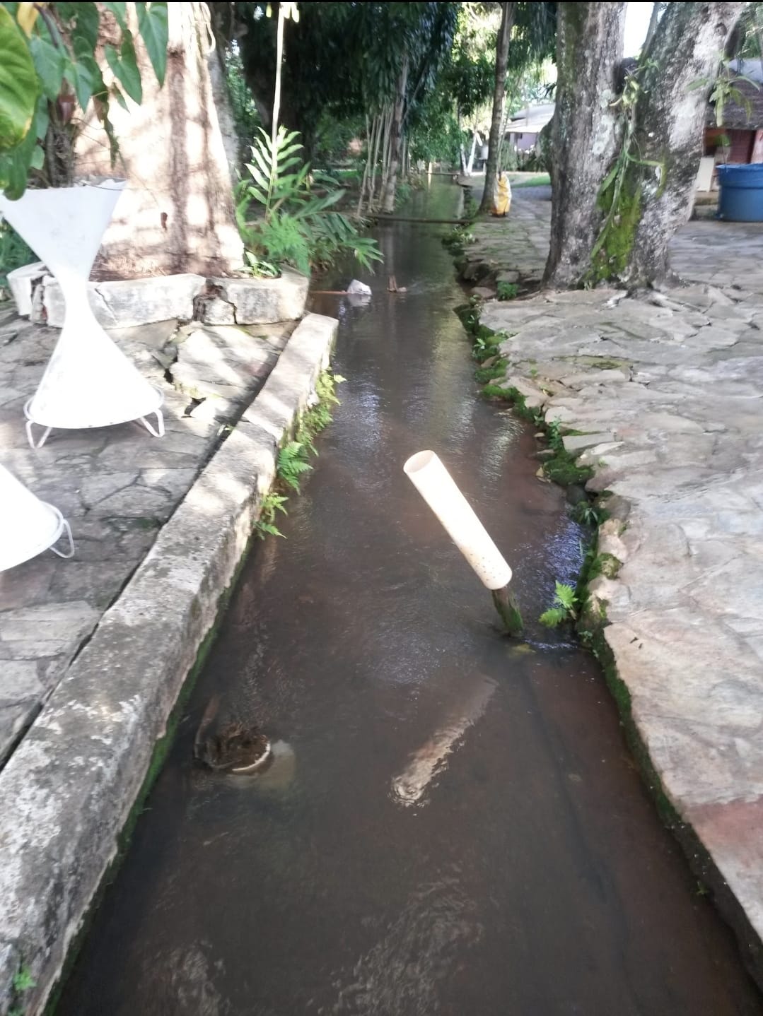 Imagem Chácara com 3 Quartos à Venda, 500 m² em Jardim Ana Lúcia - Goiânia Imagem Chácara com 3 Quartos à Venda, 500 m² em Jardim Ana Lúcia - Goiânia