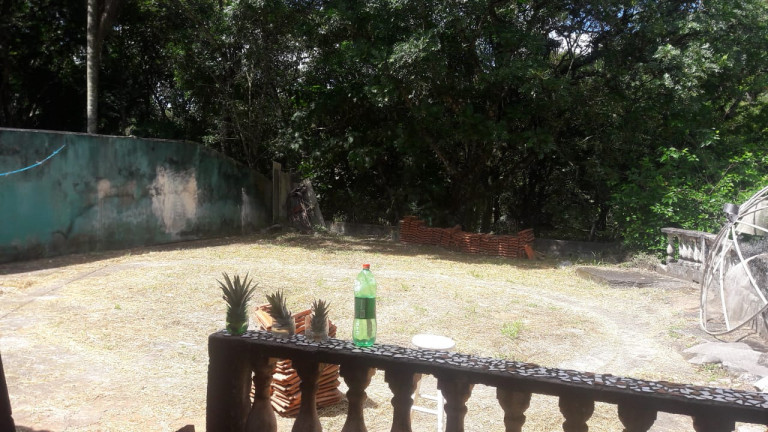 Imagem Chácara com 3 Quartos à Venda, 300 m² em Mata Fria - Mairiporã Imagem Chácara com 3 Quartos à Venda, 300 m² em Mata Fria - Mairiporã