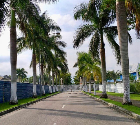 Imagem Casa com 4 Quartos à Venda, 257 m² em Barra da Tijuca - Rio de Janeiro Imagem Casa com 4 Quartos à Venda, 257 m² em Barra da Tijuca - Rio de Janeiro