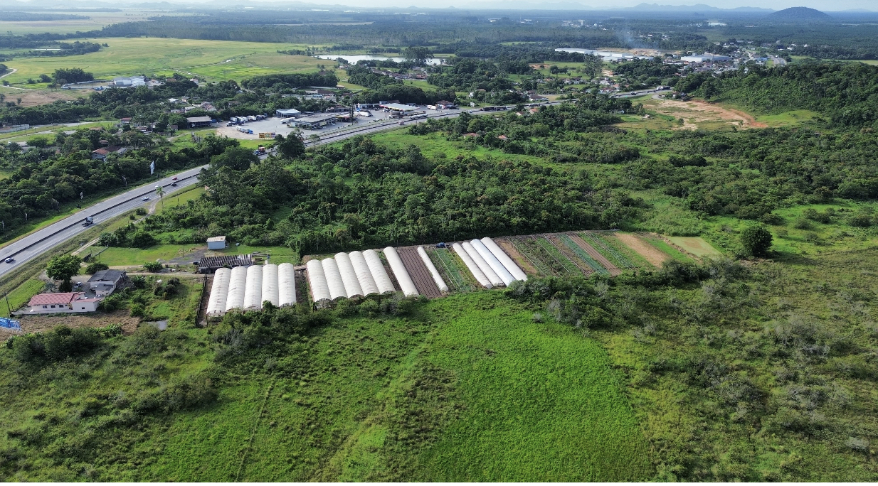 Imagem Terreno à Venda, 50.000 m² em Corveta - Araquari