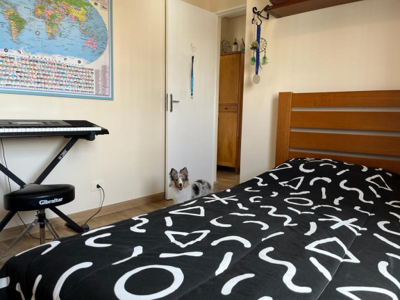 Imagem Cobertura com 4 Quartos à Venda, em Chácara Inglesa - São Paulo Imagem Cobertura com 4 Quartos à Venda, em Chácara Inglesa - São Paulo