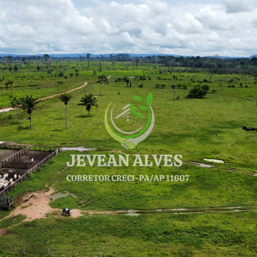Imagem Fazenda à Venda, 4 m²em Centro - São Félix do Xingu Imagem Fazenda à Venda, 4 m²em Centro - São Félix do Xingu