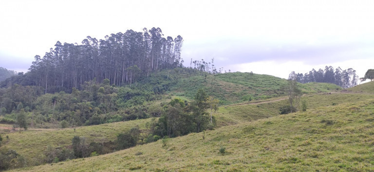 Imagem Fazenda à Venda, 34 HAem Brusque do Sul - Orleans