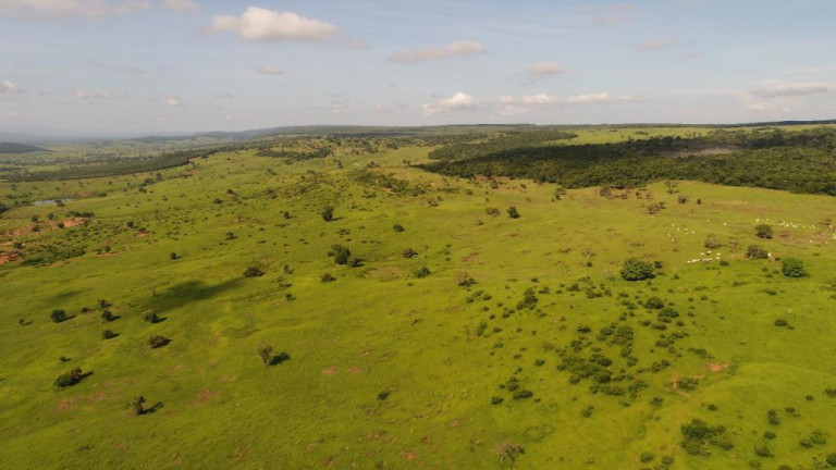 Imagem Terreno à Venda, 11.500 m² em zona rural - Bocaiúva