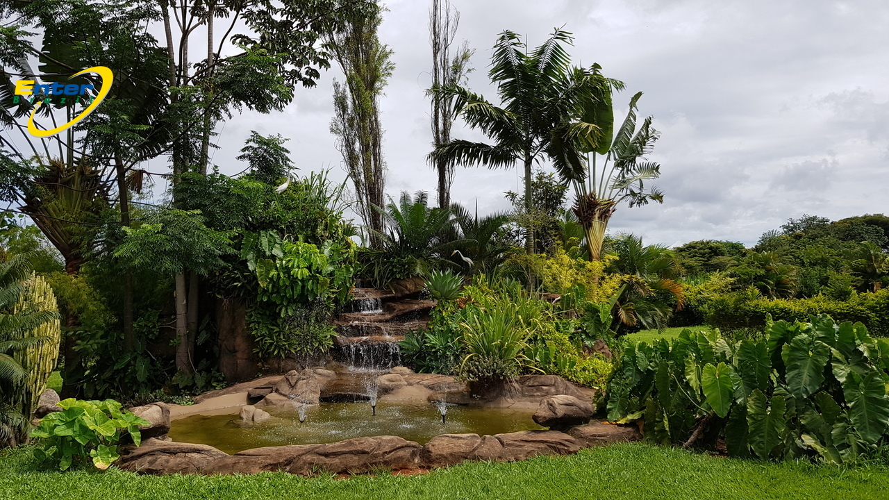 Imagem Fazenda à Venda, 61 HAem Veredas (Brazlândia) - Brasília