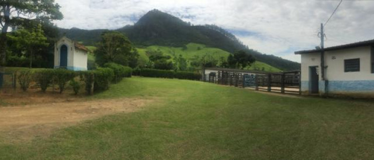 Imagem Fazenda à Venda, 20.000 m² em Vila Pontilhão - Cruzeiro