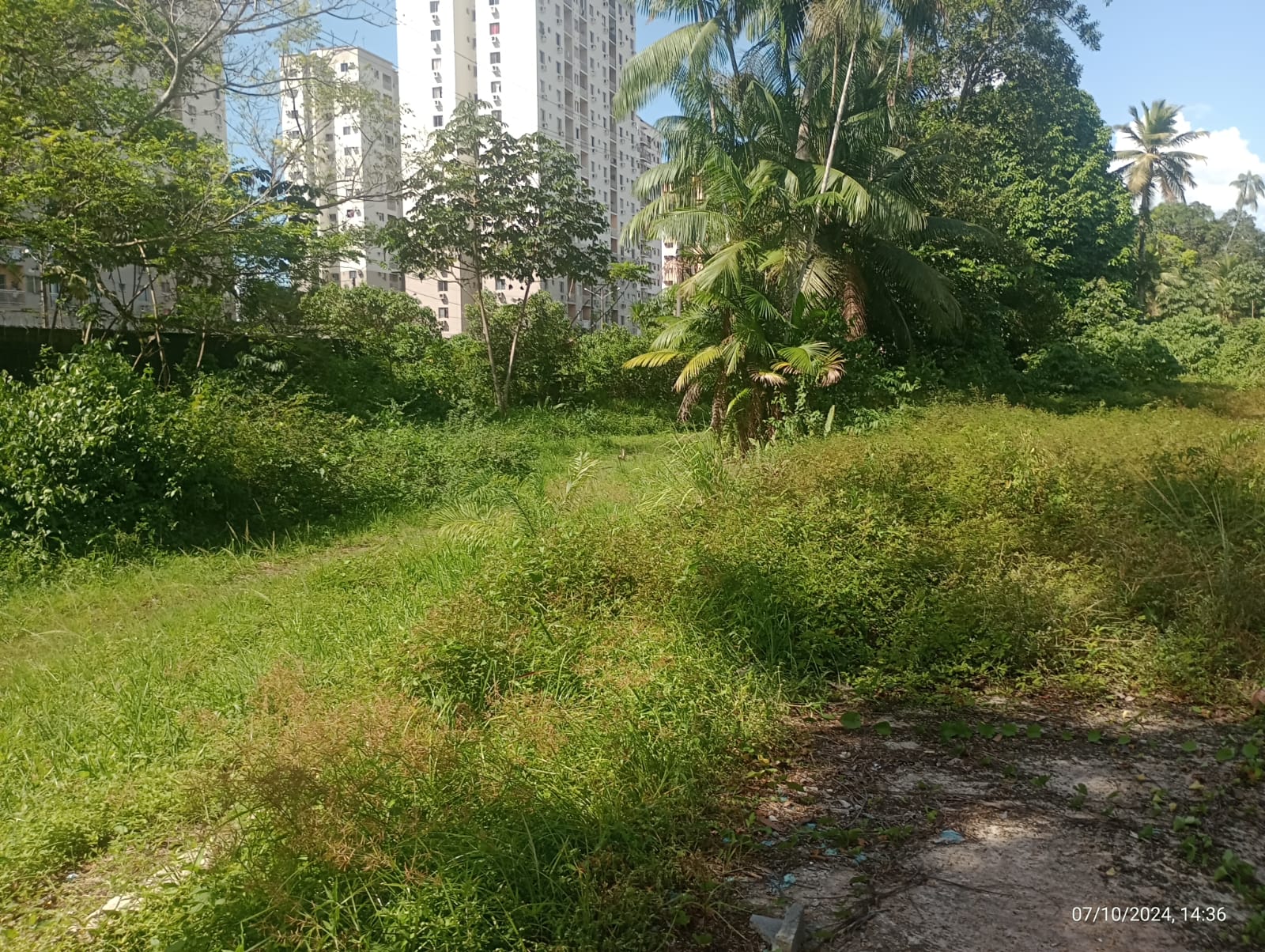 Foto do imóvel Terreno à Venda, 34 m²em Tenoné - Belém