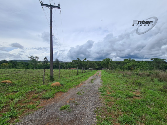 Imagem Fazenda à Venda, 24 HA em brazlandia - Brasília