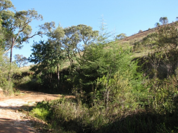 Imagem Terreno à Venda, 1.380 m² em Descansopolis - Campos do Jordão