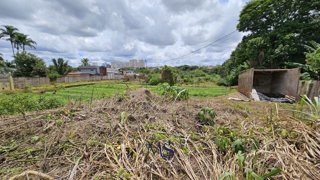 Imagem Fazenda à Venda, 2 m²em Park Way - Brasília