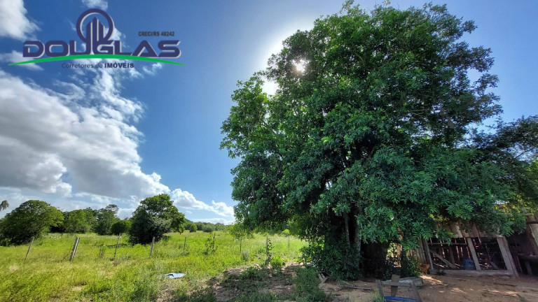 Imagem Chácara com 2 Quartos à Venda, 80 m² em Águas Claras - Viamão Imagem Chácara com 2 Quartos à Venda, 80 m² em Águas Claras - Viamão