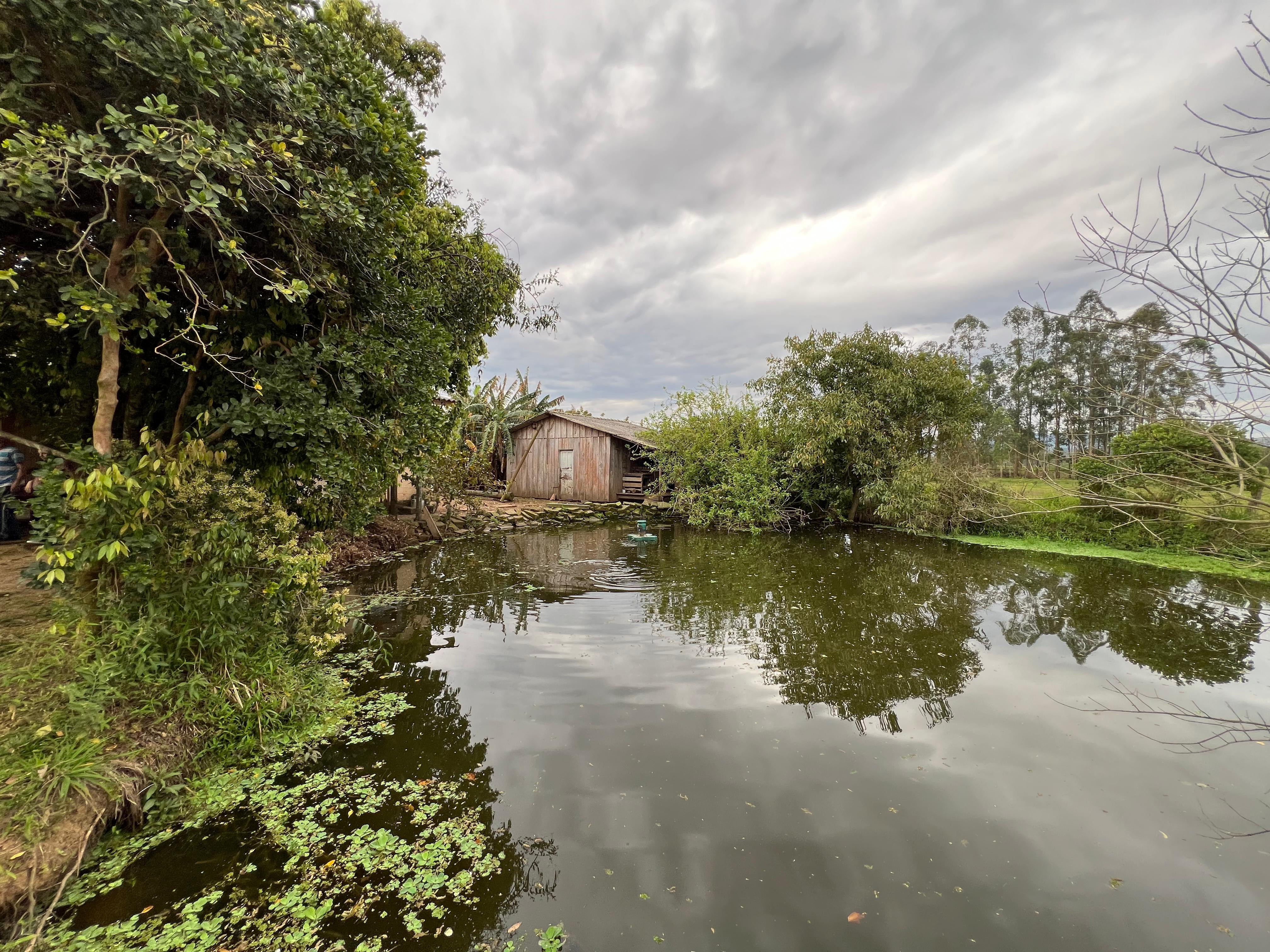 Chácara com 2 Quartos à Venda, 14.000 m² em Lomba Grande - Novo Hamburgo