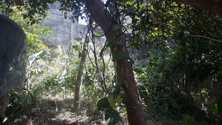 Imagem Sobrado com 7 Quartos à Venda, 403 m² em Jardim Cristino - Jandira Imagem Sobrado com 7 Quartos à Venda, 403 m² em Jardim Cristino - Jandira