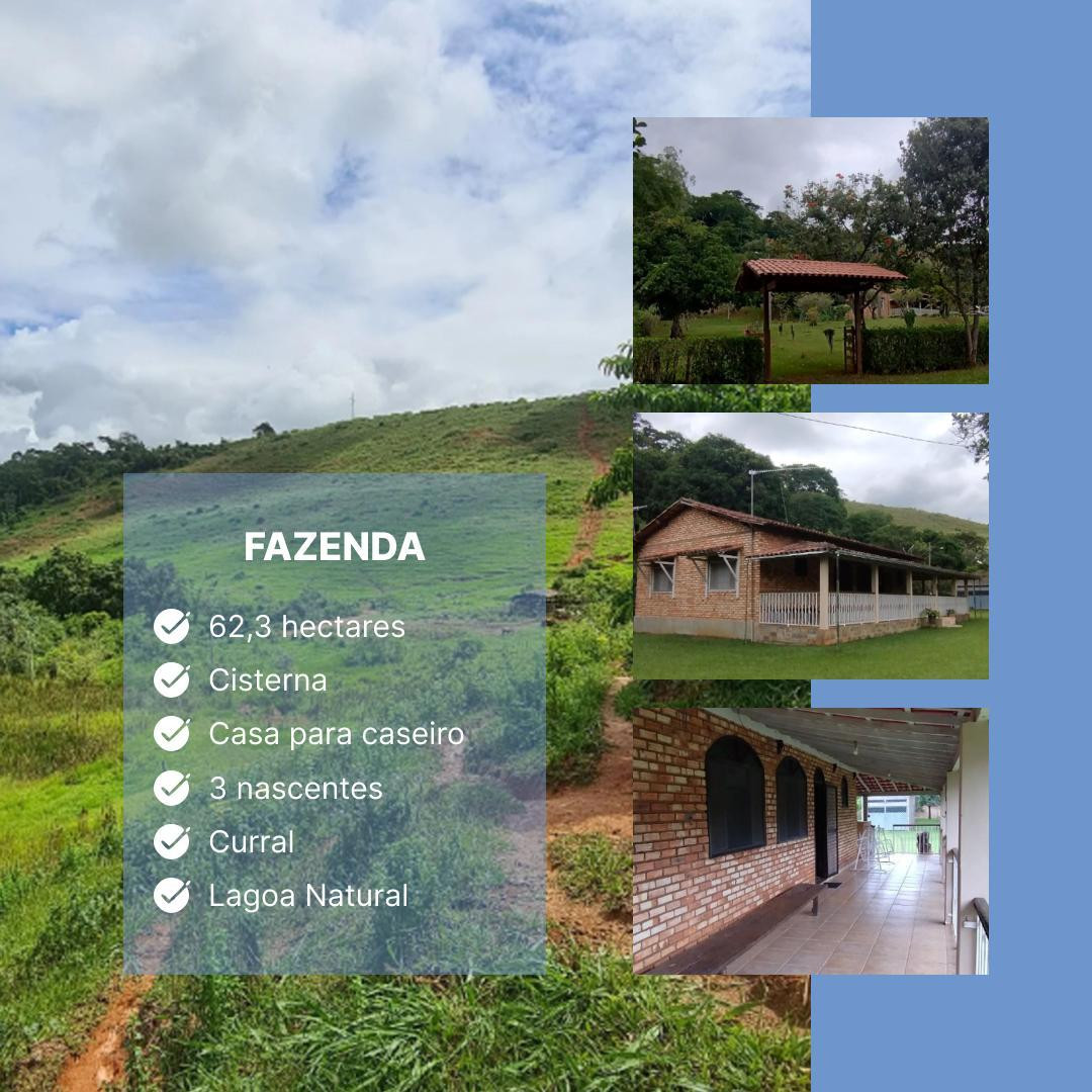 Imagem Chácara com 3 Quartos à Venda, 62.000 m² em Centro - Rio Casca Imagem Chácara com 3 Quartos à Venda, 62.000 m² em Centro - Rio Casca