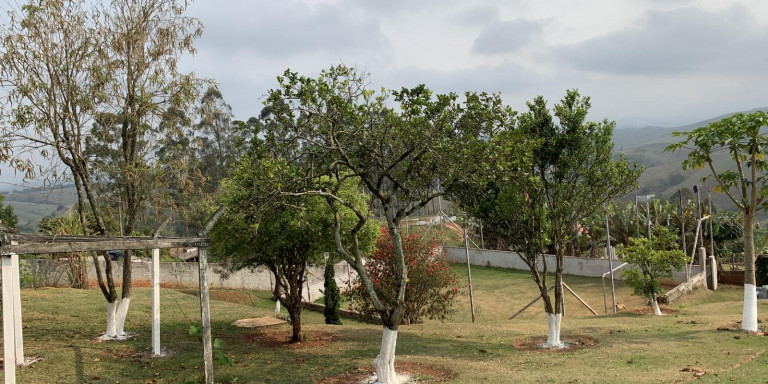 Imagem Chácara com 3 Quartos à Venda, 2.800 m² em Centro - Santa Isabel Imagem Chácara com 3 Quartos à Venda, 2.800 m² em Centro - Santa Isabel