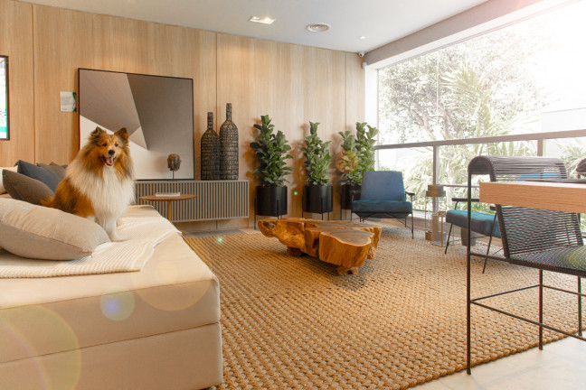 Imagem Apartamento com 3 Quartos à Venda, 29.598 m² em Sumarezinho - São Paulo Imagem Apartamento com 3 Quartos à Venda, 29.598 m² em Sumarezinho - São Paulo