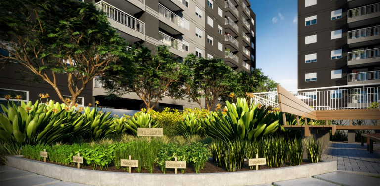 Imagem Edifício Residencial com 3 Quartos à Venda, 81 m² em Vila Isa - São Paulo