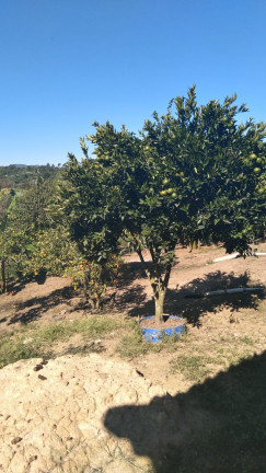 Imagem Terreno à Venda, 14.000 m² em Parque Recanto Mônica - Itaquaquecetuba Imagem Terreno à Venda, 14.000 m² em Parque Recanto Mônica - Itaquaquecetuba