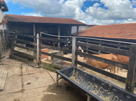 Imagem Chácara com 7 Quartos à Venda, 58.000 m² em Olhos D'água - Alexânia - GO - Alexânia Imagem Chácara com 7 Quartos à Venda, 58.000 m² em Olhos D'água - Alexânia - GO - Alexânia