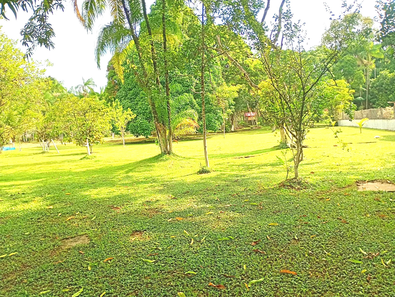 Imagem Chácara com 3 Quartos à Venda, 15 m²em Pau Darco - Santa Bárbara do Pará Imagem Chácara com 3 Quartos à Venda, 15 m²em Pau Darco - Santa Bárbara do Pará