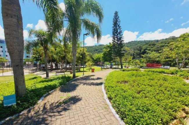 Imagem Apartamento com 2 Quartos à Venda, 64 m² em Córrego Grande - Florianópolis Imagem Apartamento com 2 Quartos à Venda, 64 m² em Córrego Grande - Florianópolis