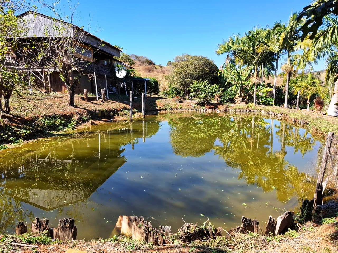 Imagem Fazenda à Venda, 1 m²em Rural - Caconde Imagem Fazenda à Venda, 1 m²em Rural - Caconde