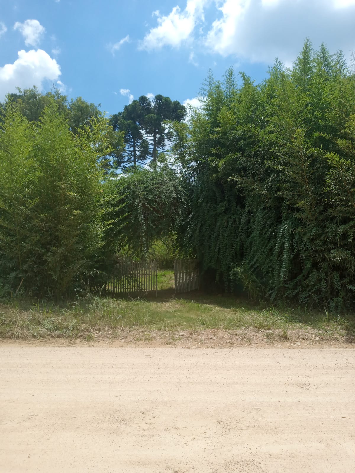 Imagem Terreno à Venda, 19.965 m² em Itália - São José dos Pinhais