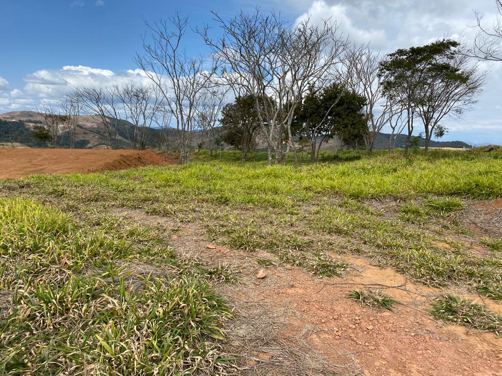 Imagem Terreno à Venda, 3.280 m² em Salvaterra - Juiz de Fora